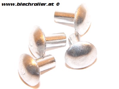 Nietensatz 12x10 mm für Schwingsattel/Sitzbank, seitlich