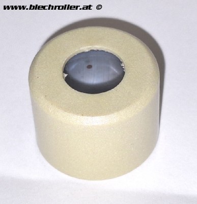 Variatorrolle PIAGGIO 14g, 21x17mm für PIAGGIO/Vespa HPE 300ccm 4T LC i.e.