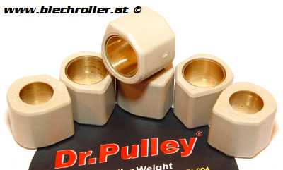 Variatorrollen DR. PULLEY 6,5g - 19x17 mm - 6 Stück
